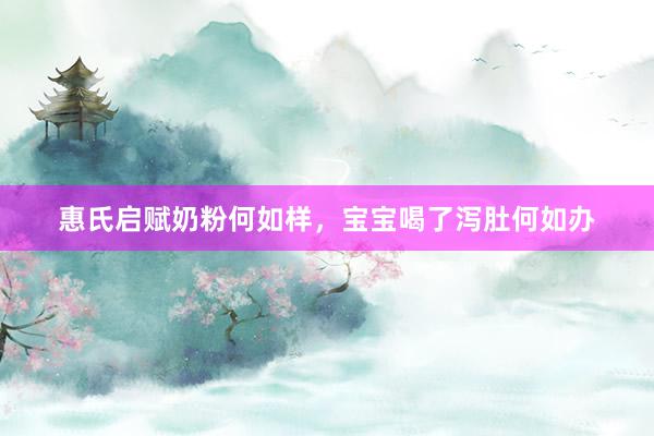 惠氏启赋奶粉何如样，宝宝喝了泻肚何如办