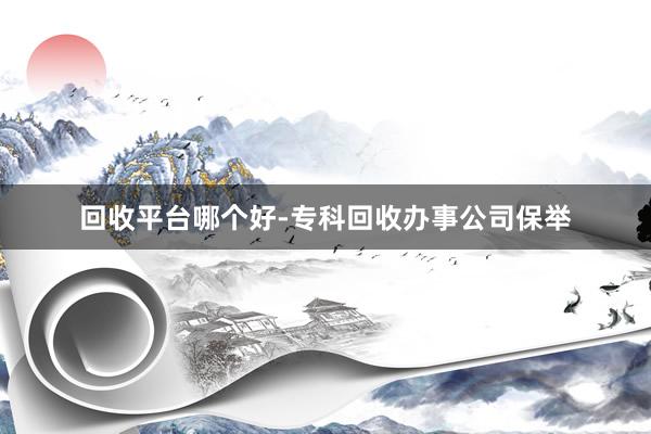 回收平台哪个好-专科回收办事公司保举