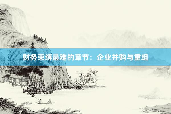 财务束缚最难的章节：企业并购与重组