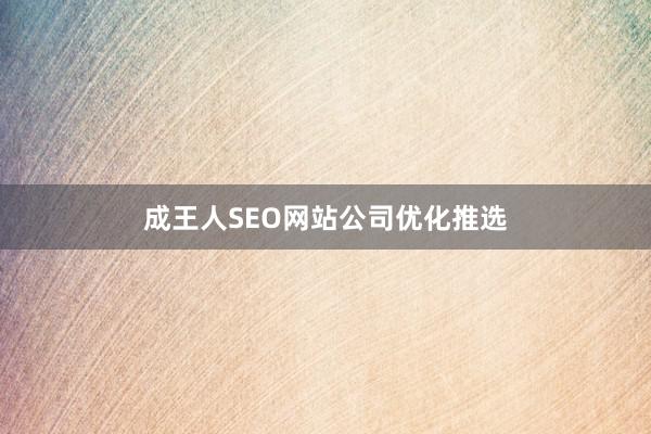 成王人SEO网站公司优化推选