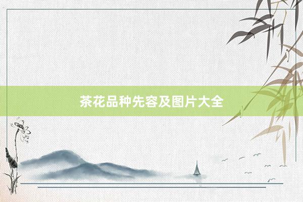 茶花品种先容及图片大全