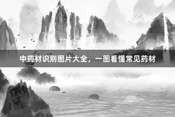 中药材识别图片大全，一图看懂常见药材